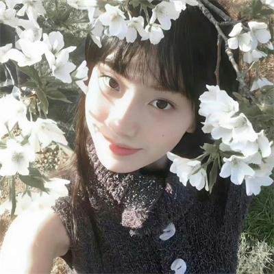 暂停！智序重组