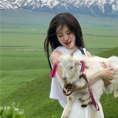 五十公里桃花坞3